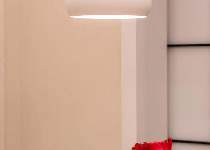 Orchid In The Heart Of Tirana